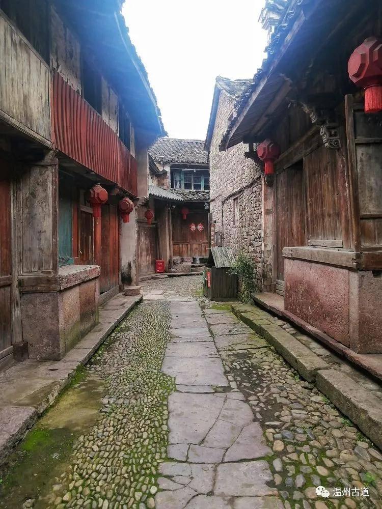 张雨绮兔女郎登场!性感与纯真的完美结合